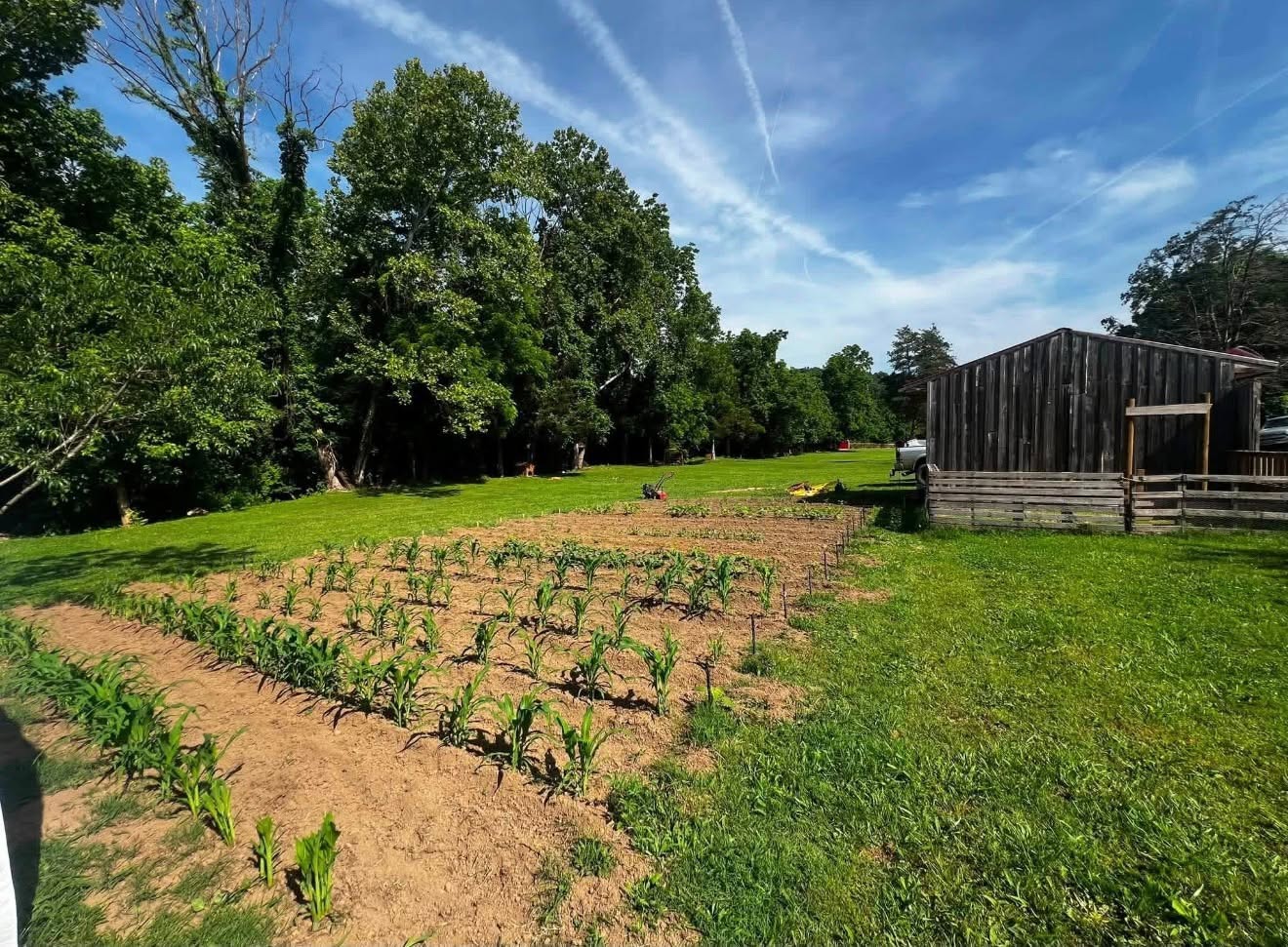 Raised garden beds at the Russell Ranch.