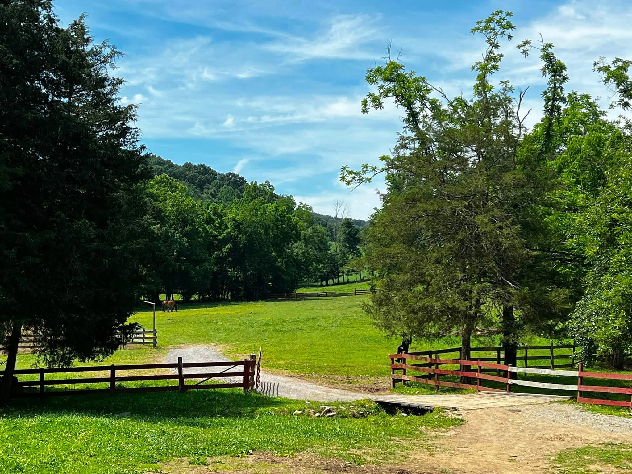 Green fields and the entrance gate at the Russell Ranch.