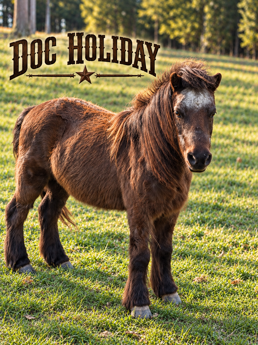 Doc Holiday facing the camera, with his name in Western lettering.