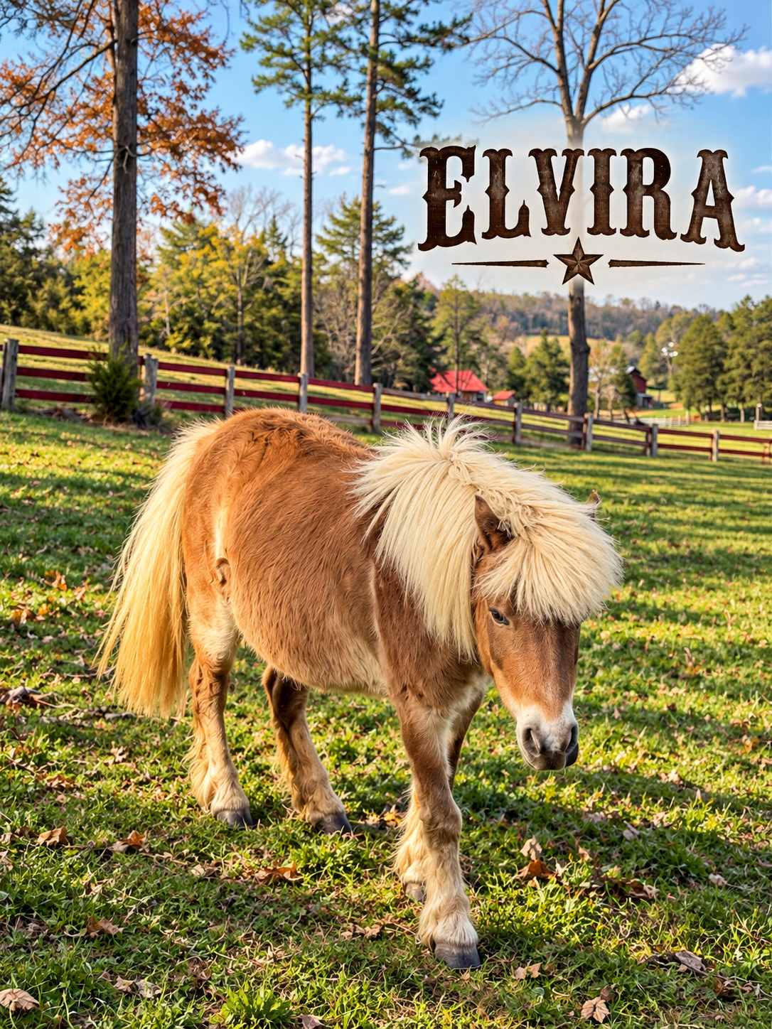 Elvira in the pasture, with her name in Western lettering.