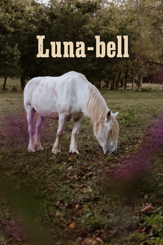 Luna-Bell grazing in the pasture, with her name above the photograph.