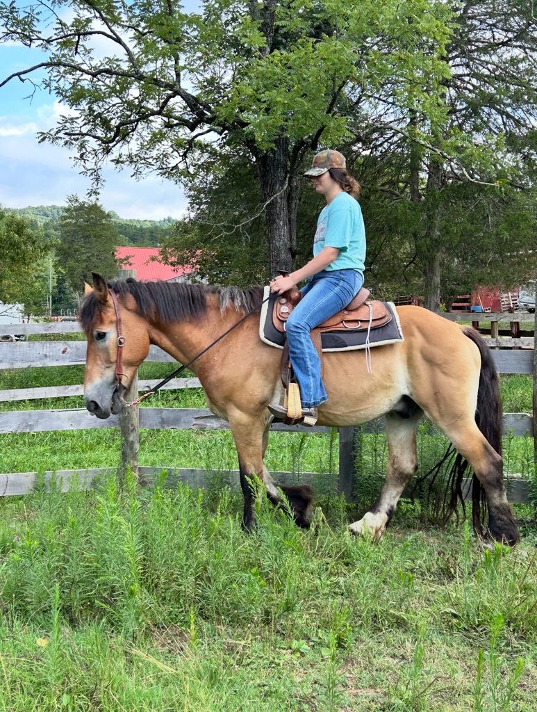 Dutton with a rider beside a Ranch fence.